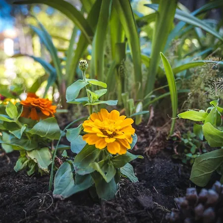 Domus Fuorimura Tatil Evi Sorrento
