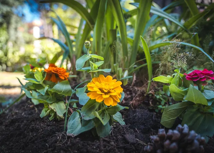 Domus Fuorimura Ferienhaus Sorrent